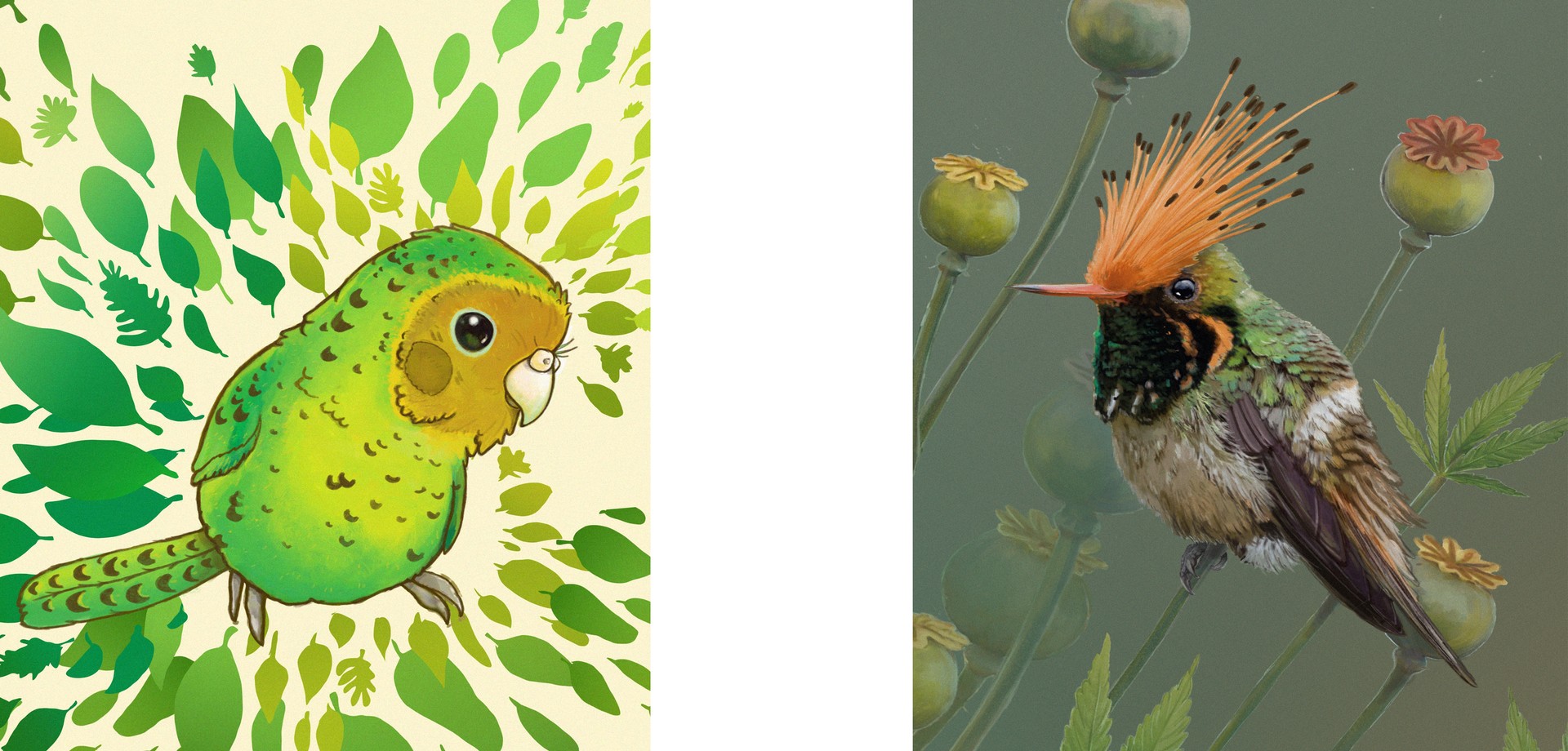 Kakapo und Kolibri. Illustrationen: Sascha Düvel