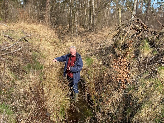 Graben zur Entwässerung im Lüntener Wald. (vergrößerte Bildansicht wird geöffnet)