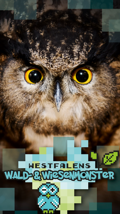 Vorschaubild des YouTube Kurzvideos