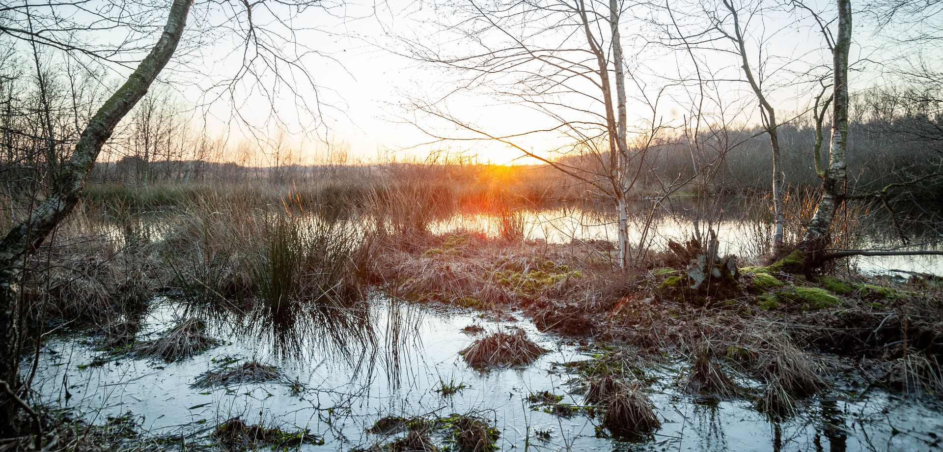 Eine Moorlandschaft.