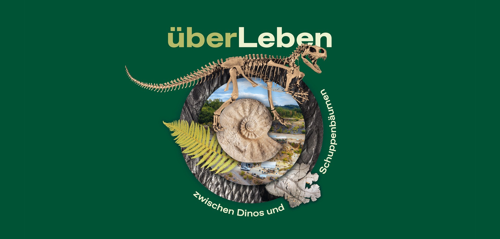 Freigestelltes Skelett des Raubsauriers Wiehenvenator.