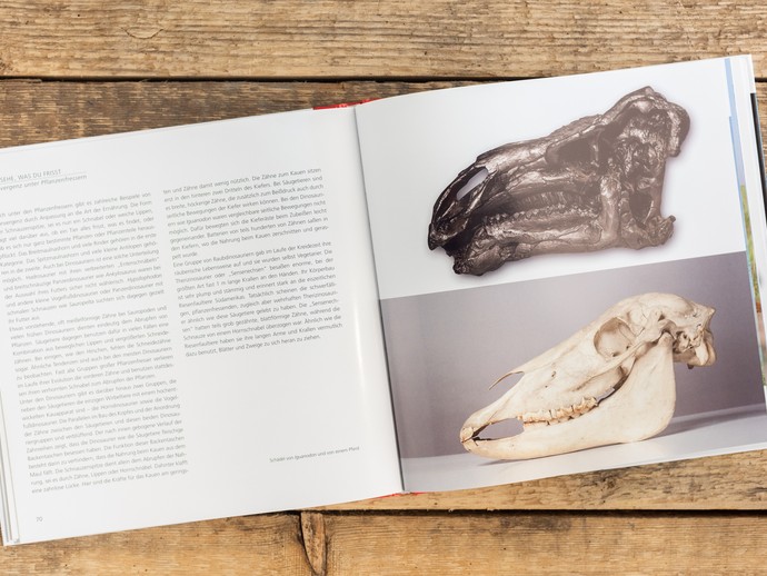Einblicke in das Begleitbuch der Ausstellung Dinosaurier die Urzeit lebt. (vergrößerte Bildansicht wird geöffnet)