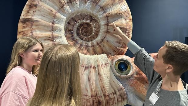 Eine Museumspädagogin erzählt Schülerinnen etwas über den Riesenammoniten