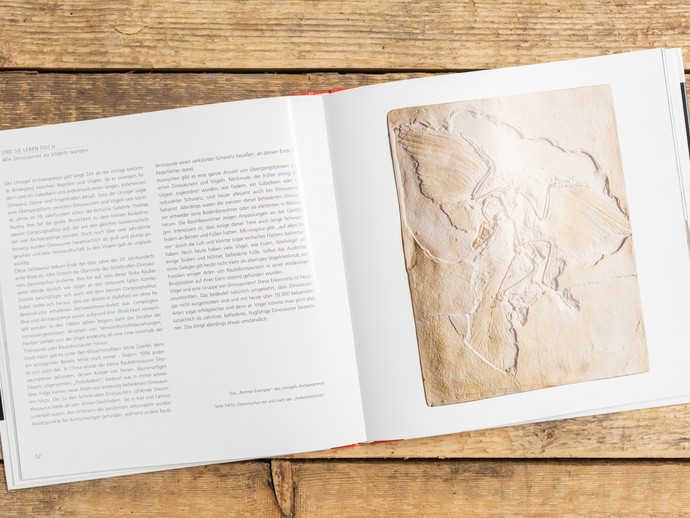 Einblicke in das Begleitbuch der Ausstellung Dinosaurier die Urzeit lebt. (öffnet vergrößerte Bildansicht)