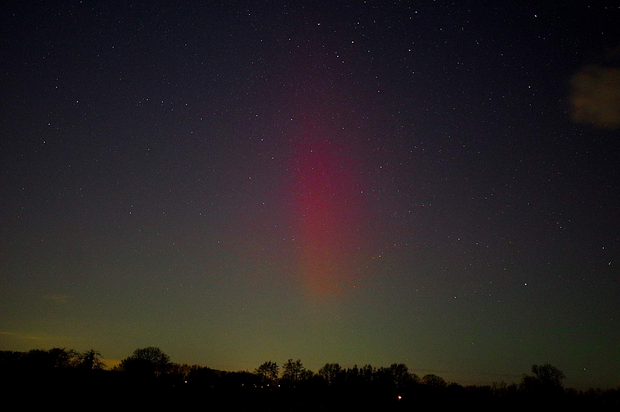 Polarlichter am Sternenhimmel über Bäumen.