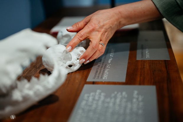 Eine Hand tastet über ein Schädelmodell einer Katze, drunter eine Texttafel in Braille-Schrift.