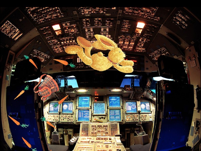 Der Hase Felix schwebt mitsamt all seiner Karotten und seinem Rucksack durch das Cockpit. (öffnet vergrößerte Bildansicht)