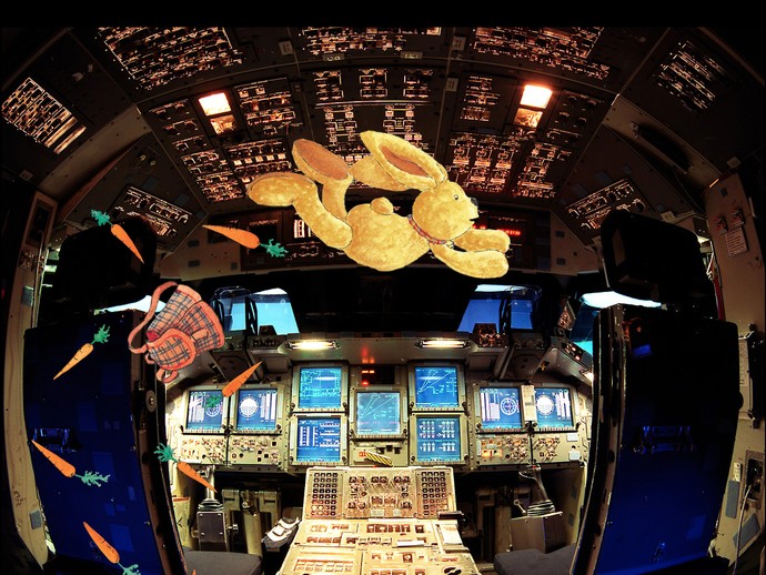 Der Hase Felix schwebt mitsamt all seiner Karotten und seinem Rucksack durch das Cockpit. (vergrößerte Bildansicht wird geöffnet)