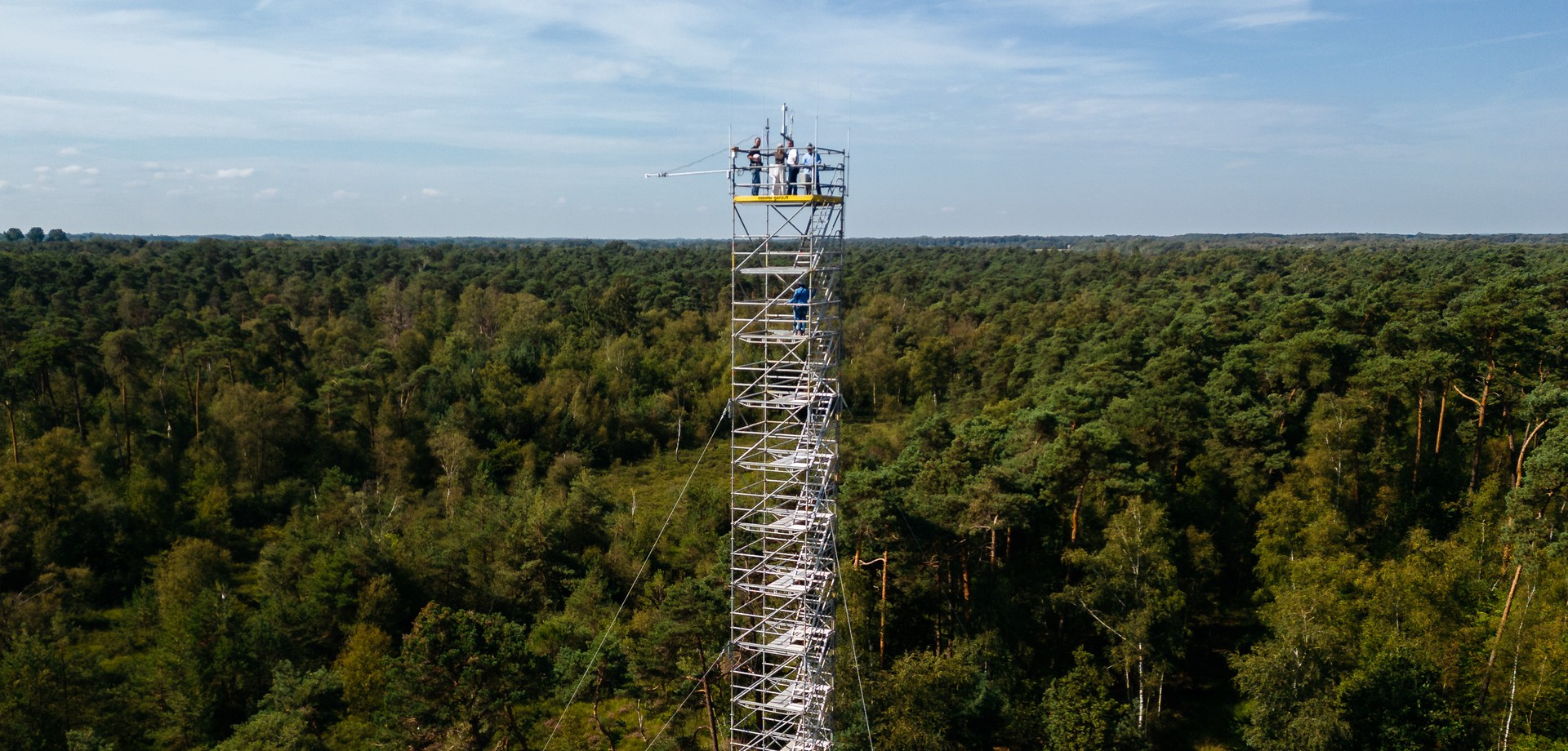 Lüntener Wald im Forstgut Ammeloe mit Forschungsturm aus Vogelperspektive.