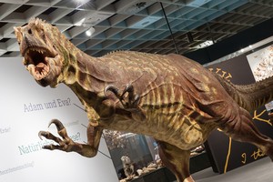 Ein Allosaurus. Foto: LWL/Steinweg