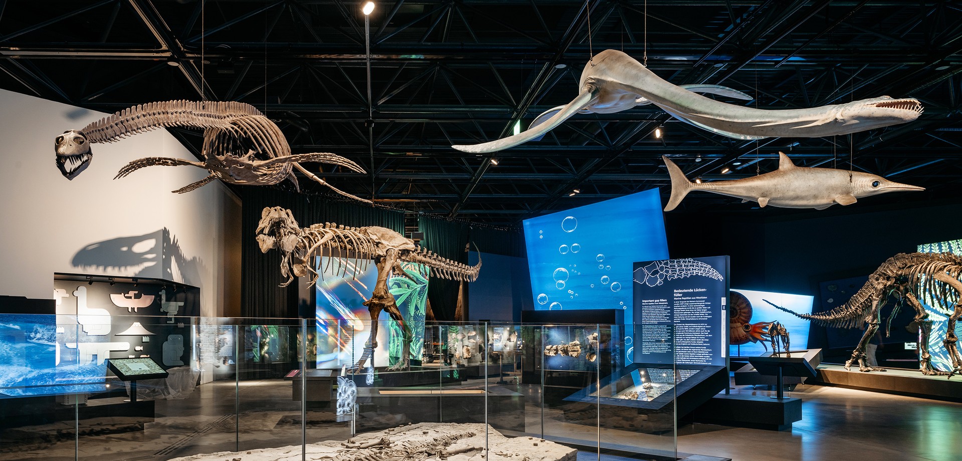 A glimpse of the exhibition featuring large dinosaur skeletons, life-size reconstructions and fossil display cases.
