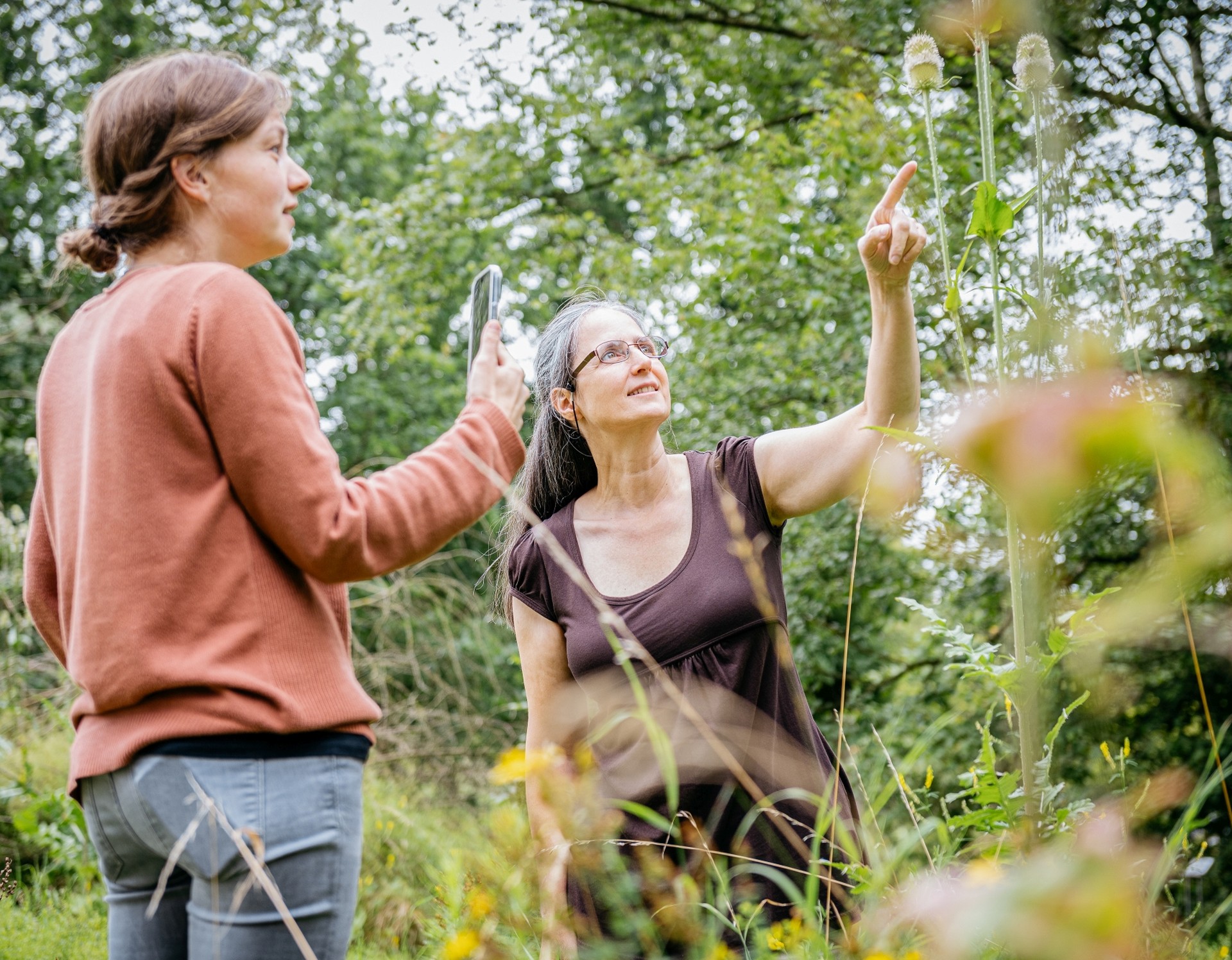 Zwei Frauen erforschen mit einem Mobiltelefon die Natur.