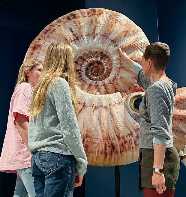 Eine Museumspädagogin erzählt Schülerinnen etwas über den Riesenammoniten