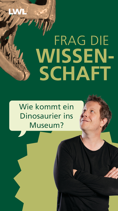 Vorschaubild des YouTube Kurzvideos