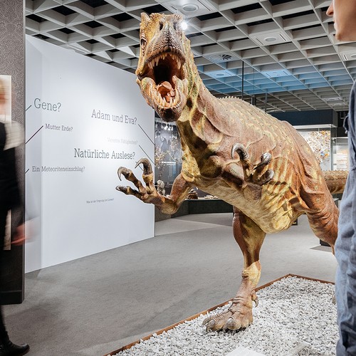 Dinosaur in the museum