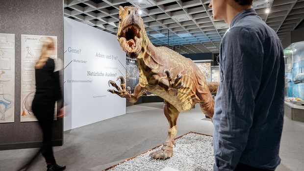 Dinosaurier im Museum.