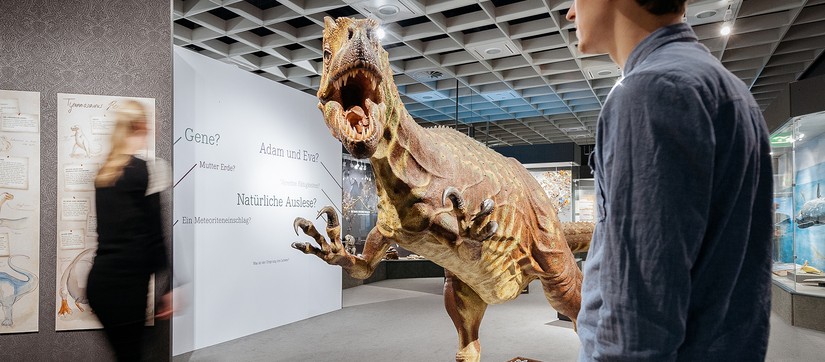 Dinosaurier im Museum - Bereich Ausstellungen