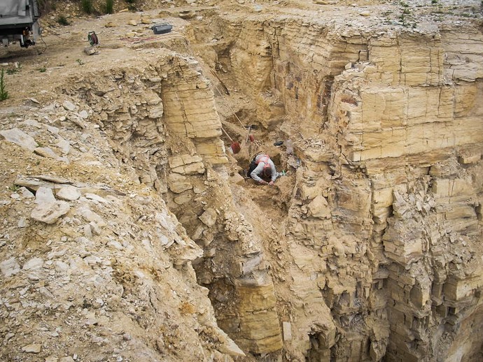 Grabung in einem Steinbruch bei Erwitte (vergrößerte Bildansicht wird geöffnet)